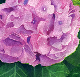 �yLaiamic�z�ؖ�݂����i�W����